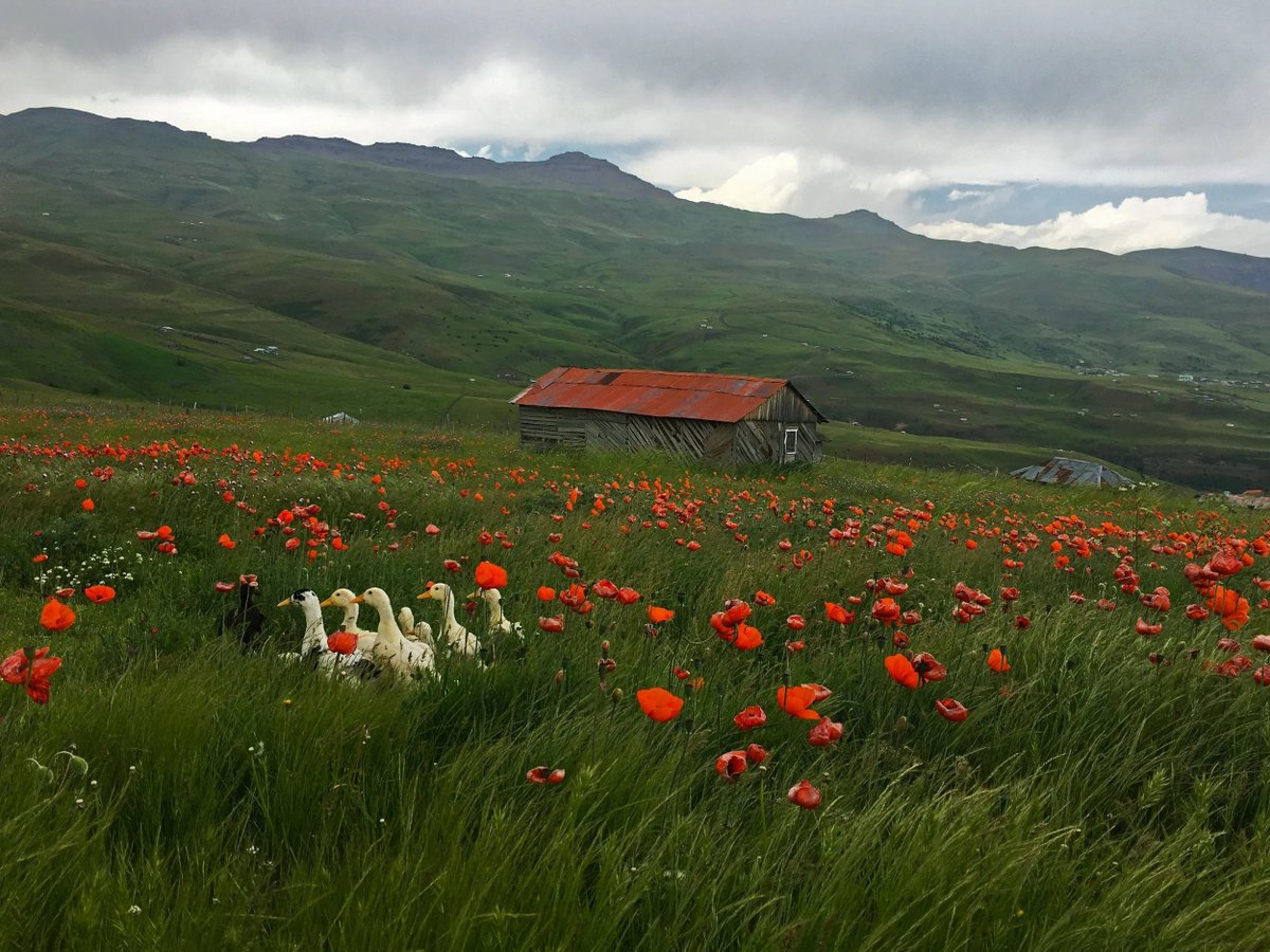 TruthBeTold tweet media