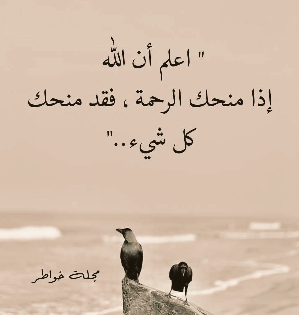 عزيز (هذا الوطن أرجوان) tweet media