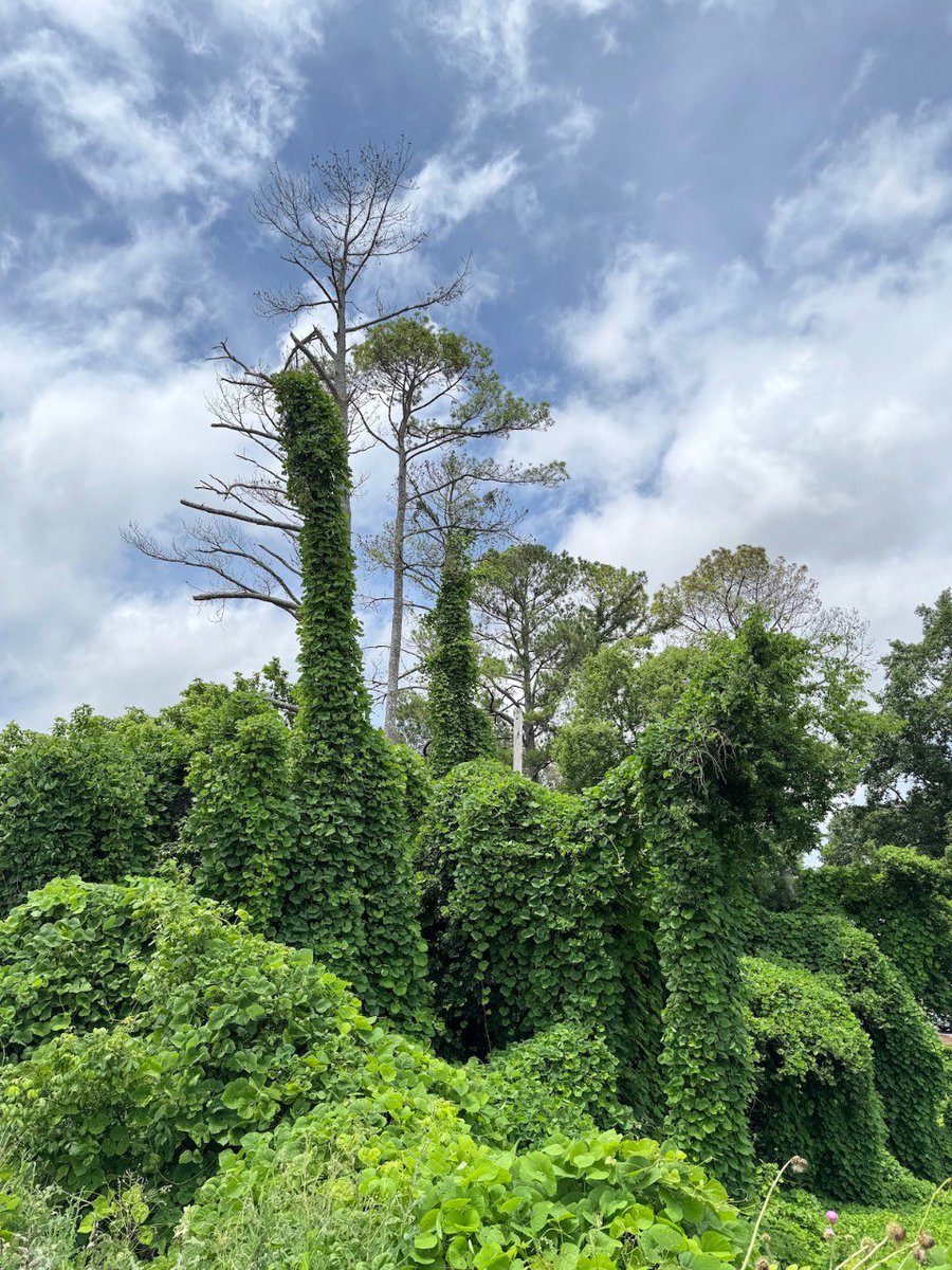 Richard “Beebo” Russell tweet media