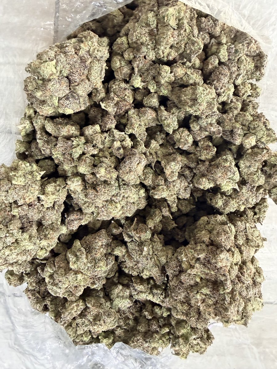 PGH_EXOTIC's tweet image. RESTOCK! ↪️ 
EXOTIC GUMBO POP
$135 a oz
HIT THE DM #pittsburghweed #nocontactdelivery #PGH #Pittsburgh #za #bud