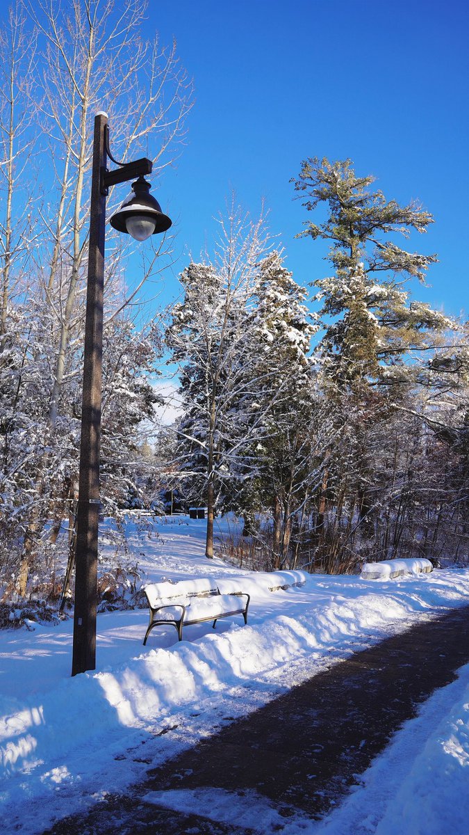 Lara😘 tweet media