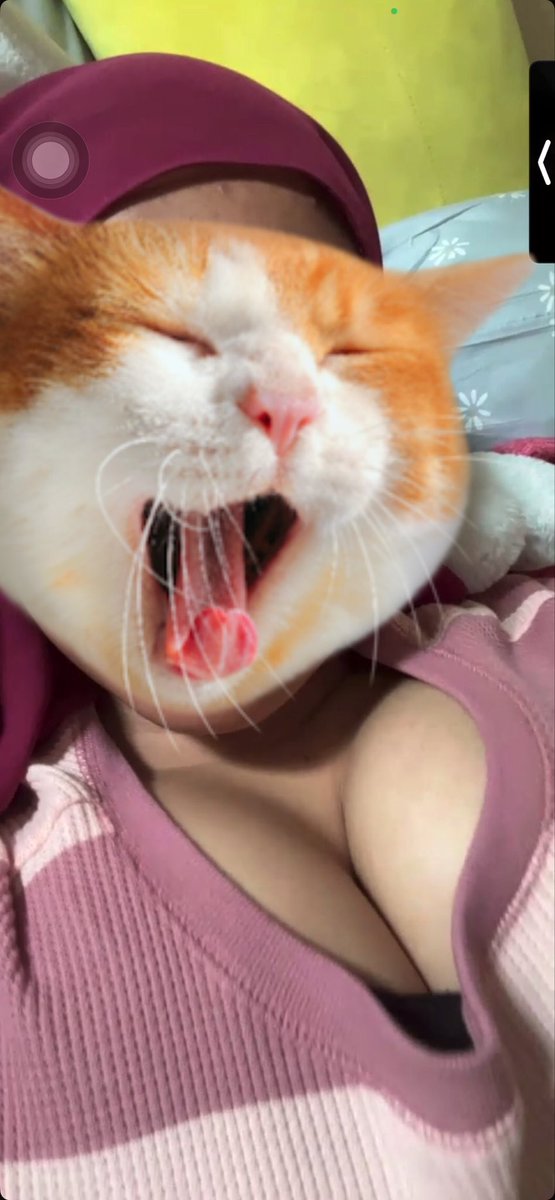 atiyaa06's tweet photo. Korang suka kan yg bertudung macam ni🤪 https://t.co/KvVULFLwIo
