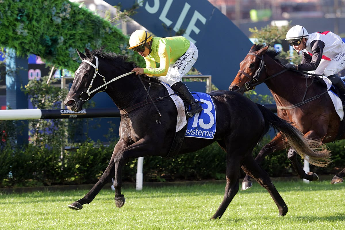 ATB Tasmania tweet media