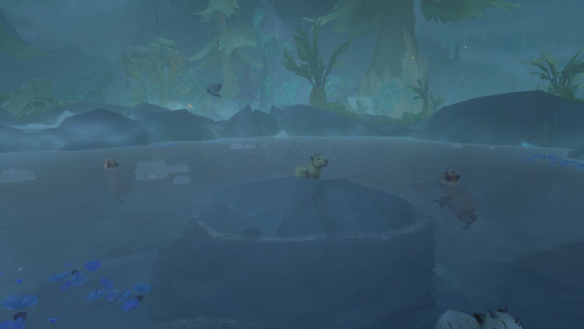 Noelia 🌸 tweet media