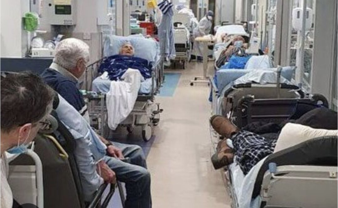 Dr. Lhara Mullins tweet media