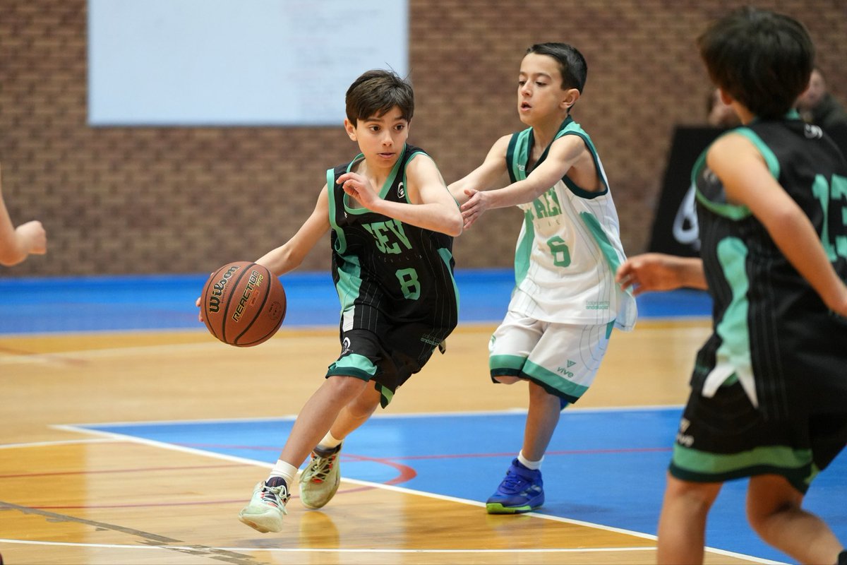 FABJaen's tweet photo. Sábado de mucho baloncesto para nuestros preminis ⛹🏼‍♂️⛹🏼‍♀️ ¡Un día para disfrutar y seguir aprendiendo! 

📷🏀 Todas las fotos del campeonato, en nuestro Flickr 👉 https://t.co/GBIFbDysa3…

#FiestaPremini2026 @aytodebenahavis https://t.co/mdcjLrrP8v
