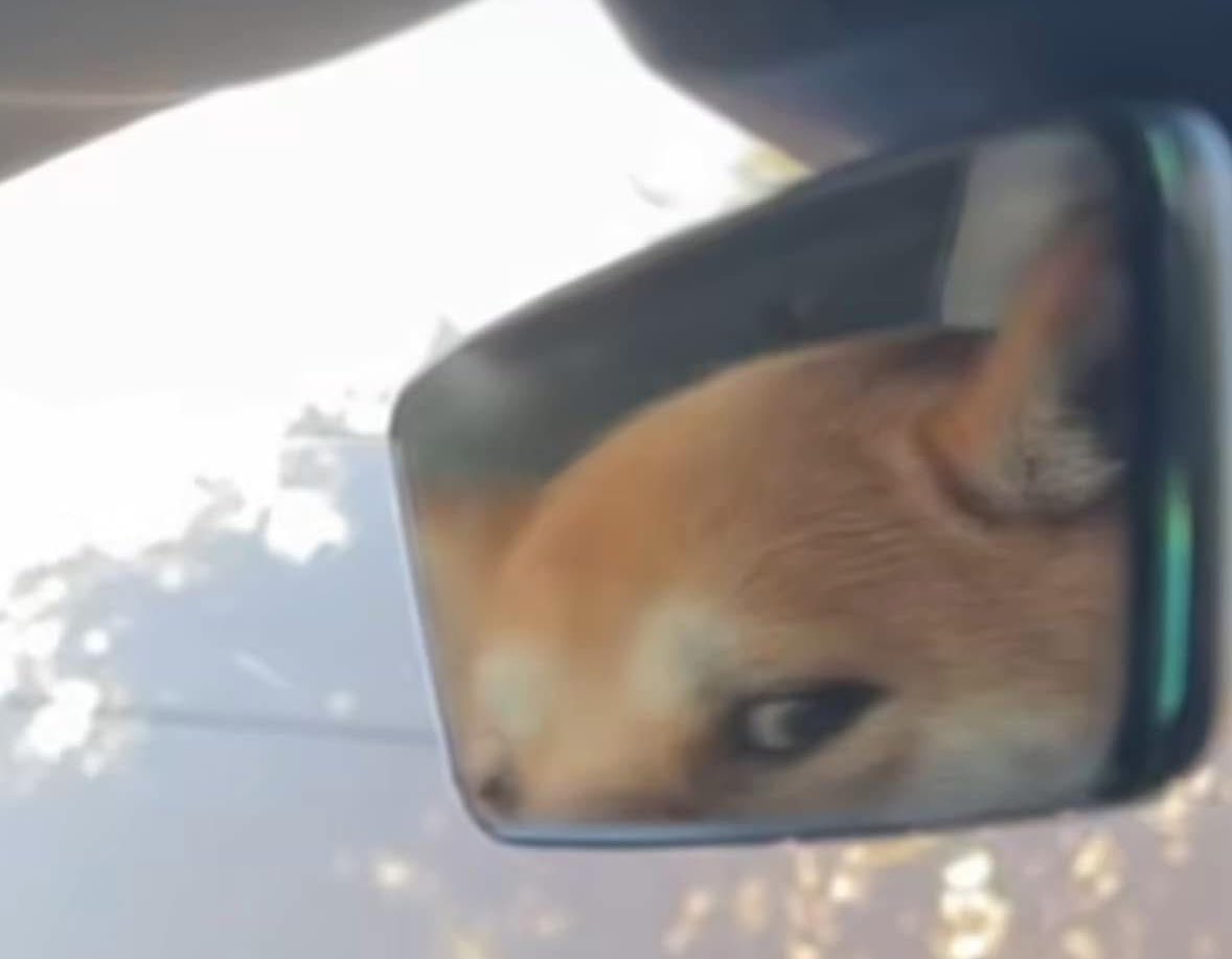 Ahmed🖤 tweet media