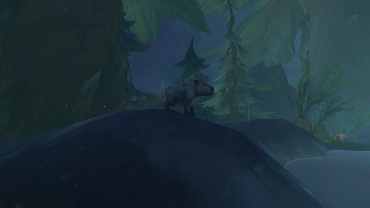 Noelia 🌸 tweet media