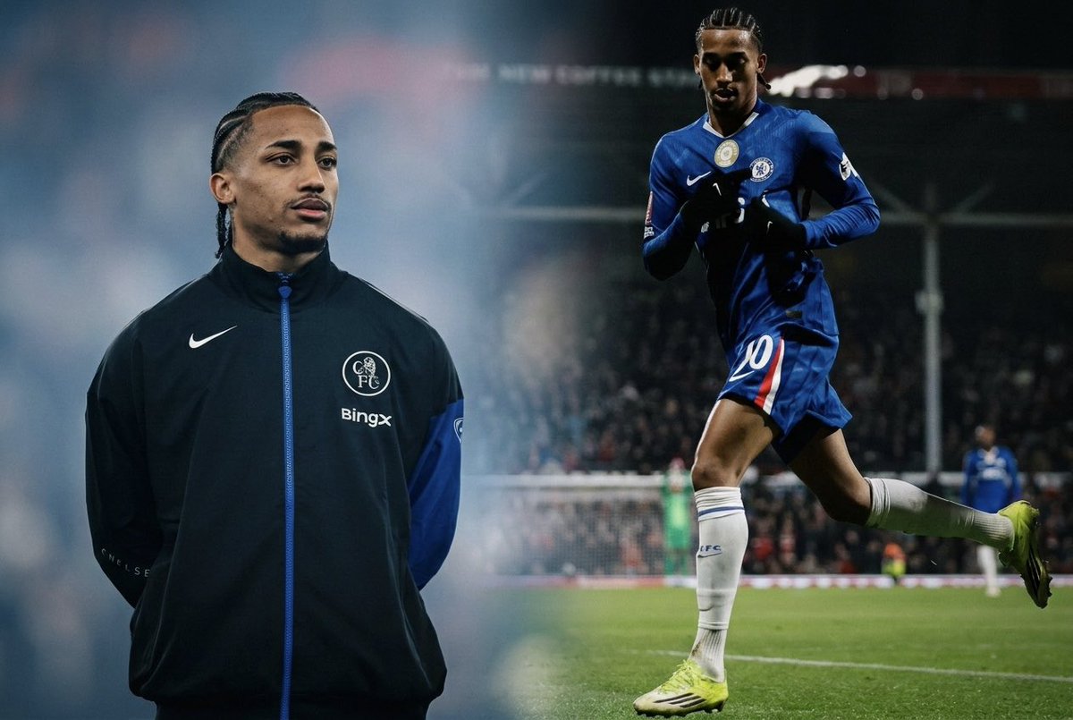 Sincerão tweet media