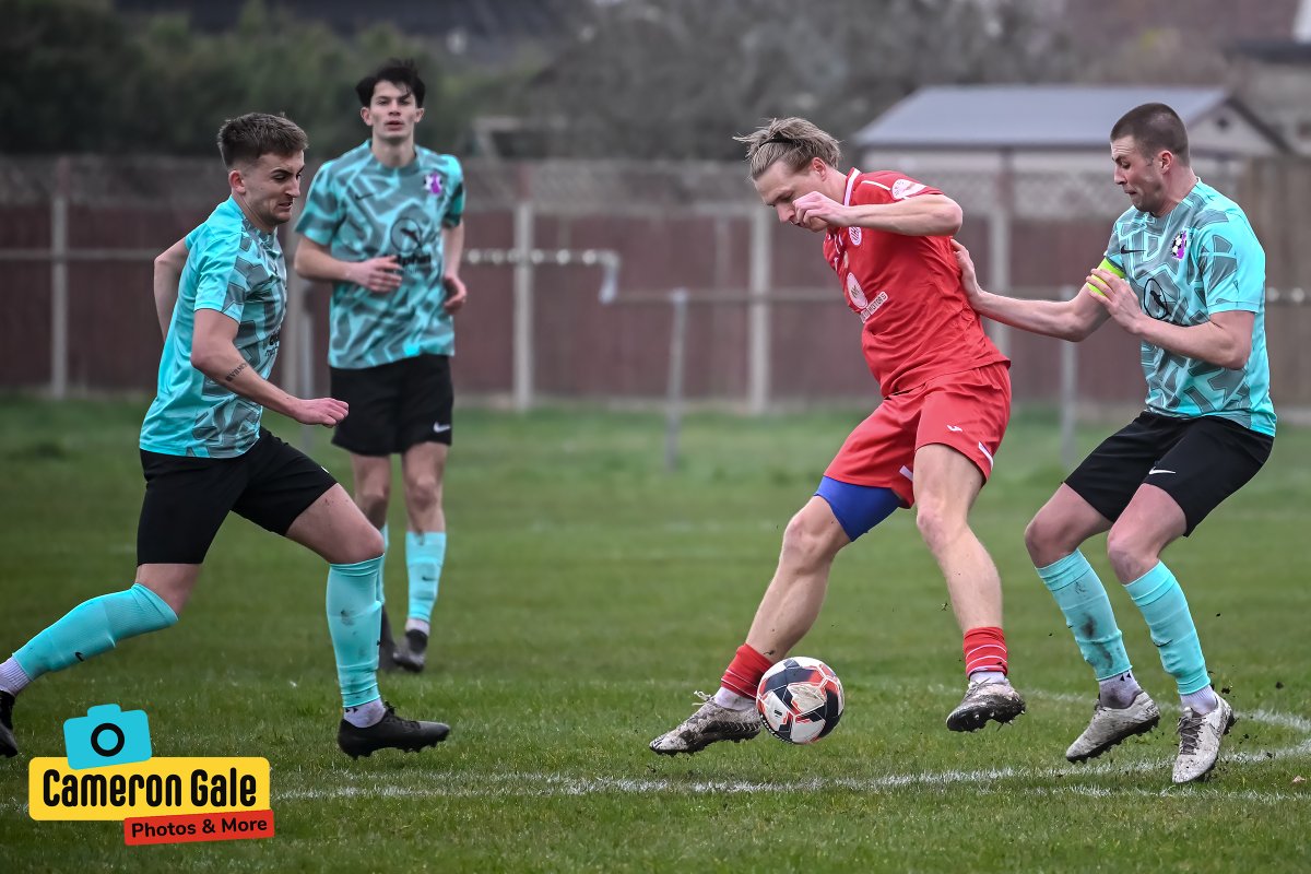 Behind The Fence Photography tweet media