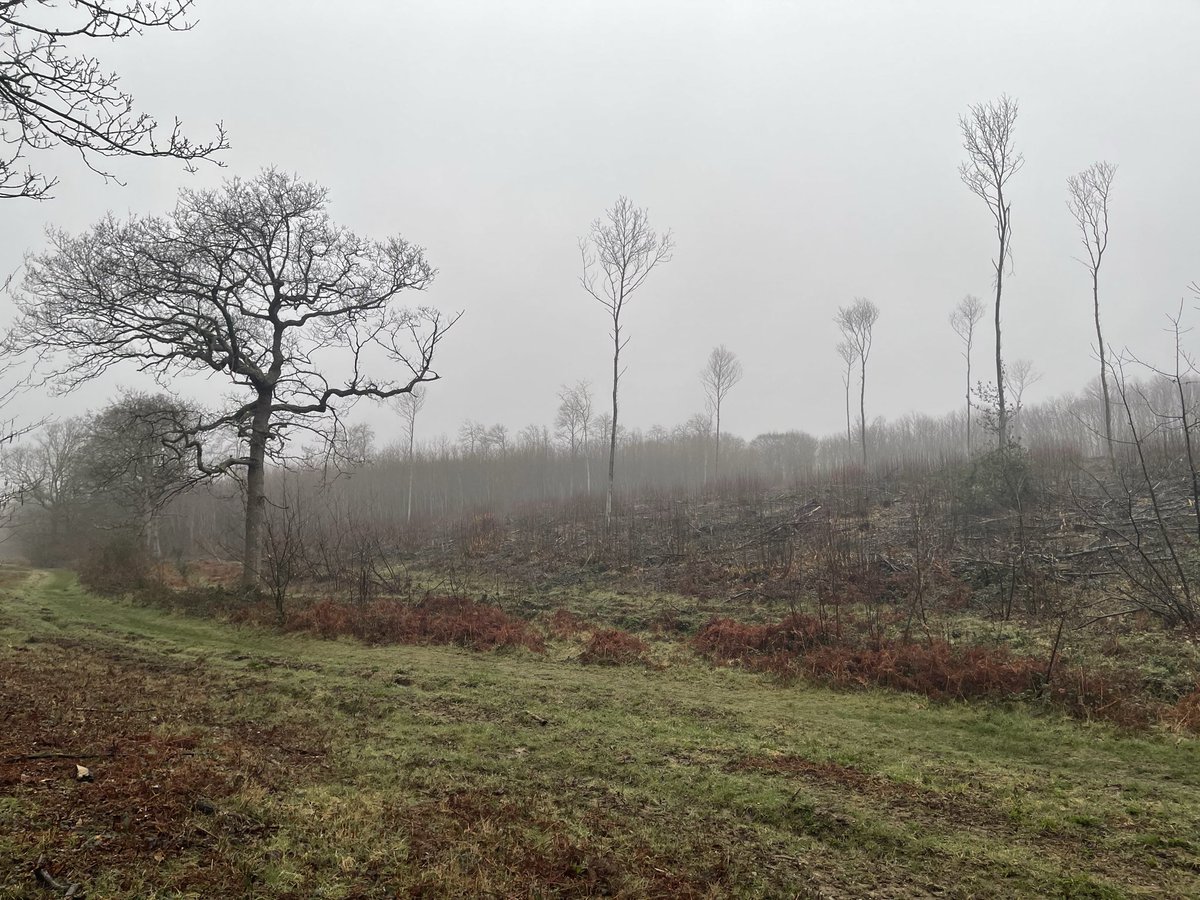 Neil Burt tweet media