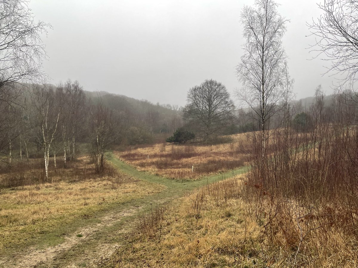 Neil Burt tweet media