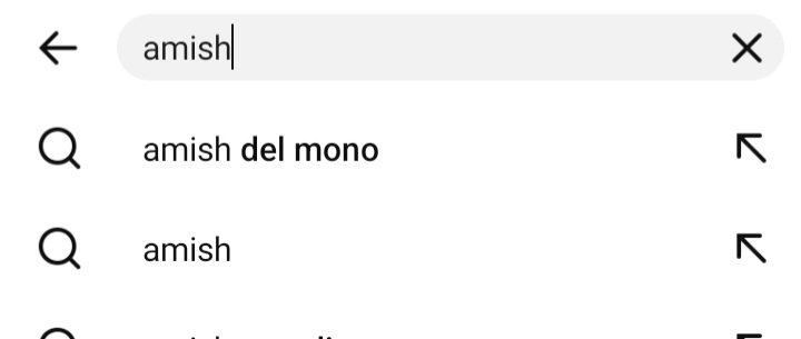 Quería buscar cosas de los amish