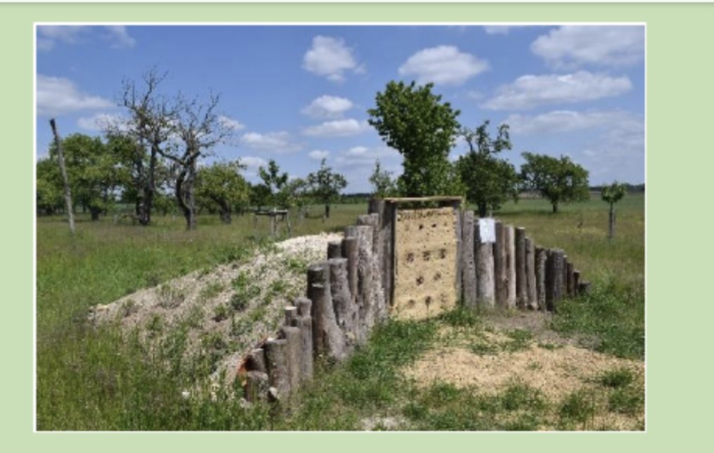 Api:Cultural tweet media