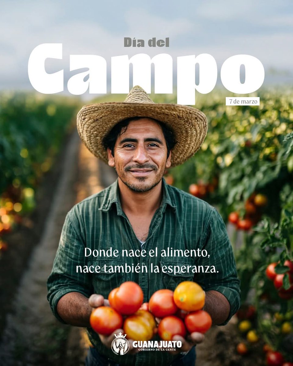 Universidad Tecnológica de León 🦁 tweet media