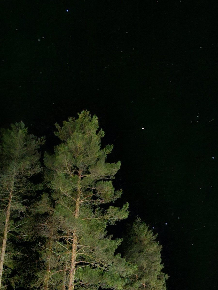 Jaanaelice's tweet photo. Tähtitaivas!
@HeikkiKansanaho
#tähtitaivas #caravanlife #sappee #NatureLover https://t.co/UYEeXIQzOL