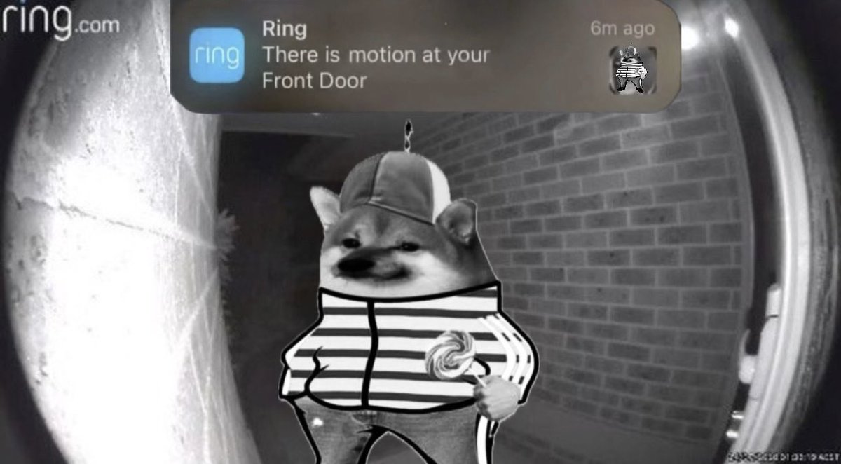 mimi 🎗🇺🇦🇬🇪 tweet media