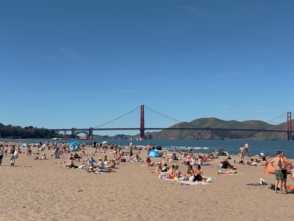 Guillermo Rauch tweet media