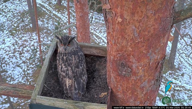 Dabasdati.lv tweet media