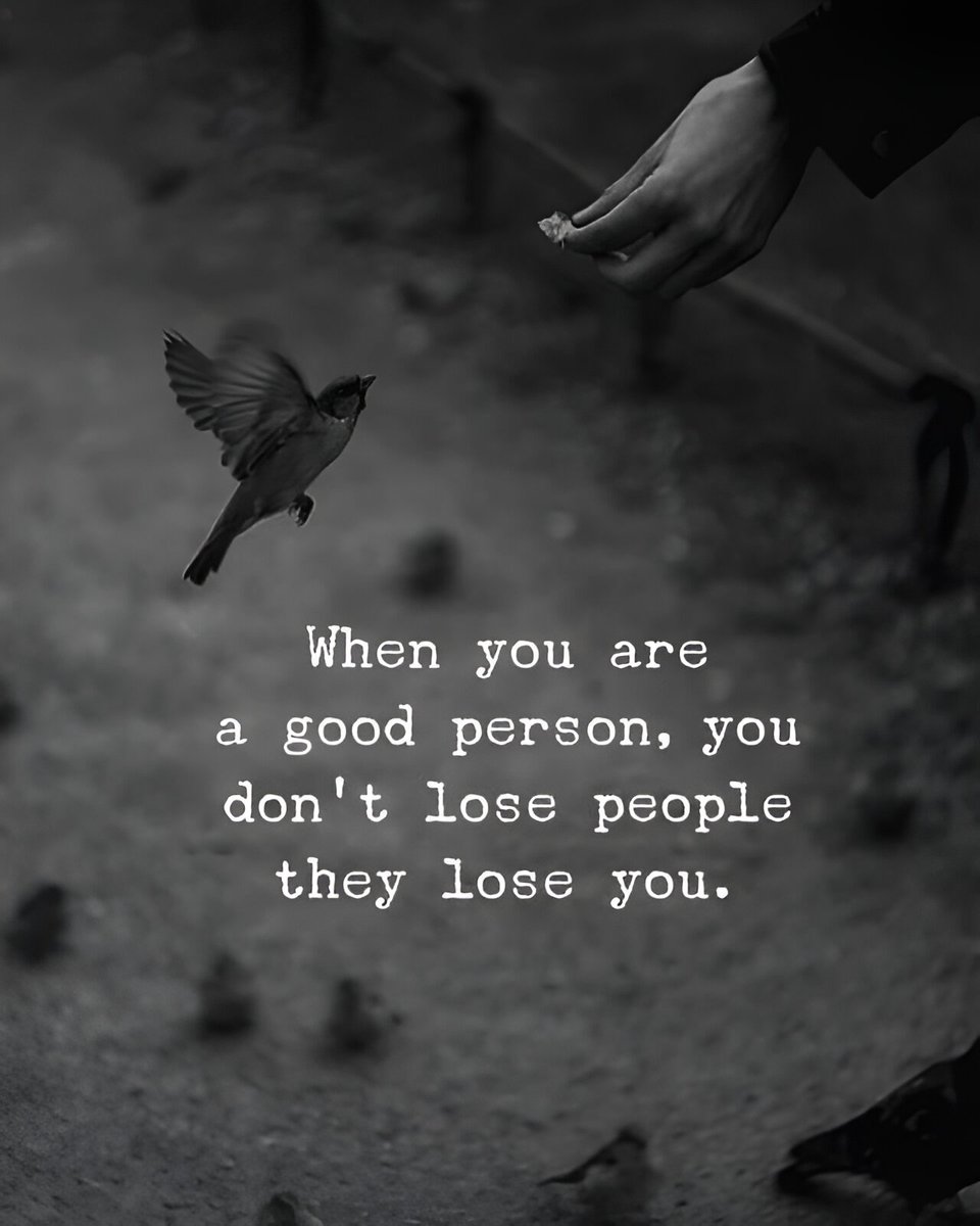 Flow State tweet media