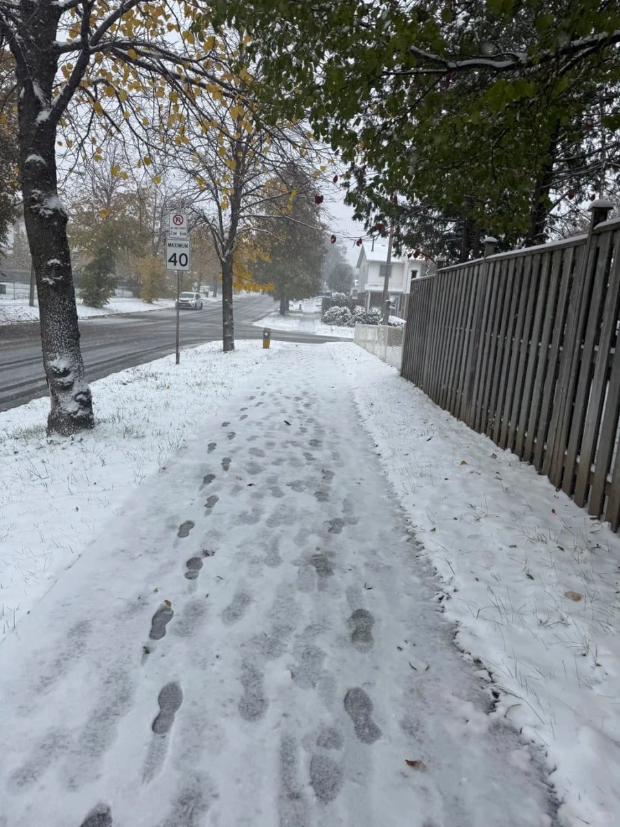 gorakhpawar19's tweet image. Snow-dusted trees and empty sidewalks my kind of peaceful escape. Grateful for these simple beauties. ❄️🏡 #CozyWinter #NatureWalk