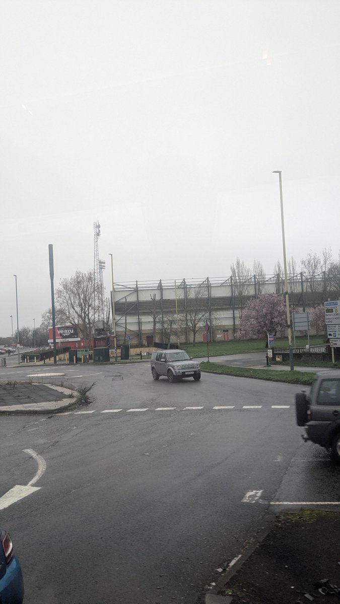 🇮🇪 tweet media