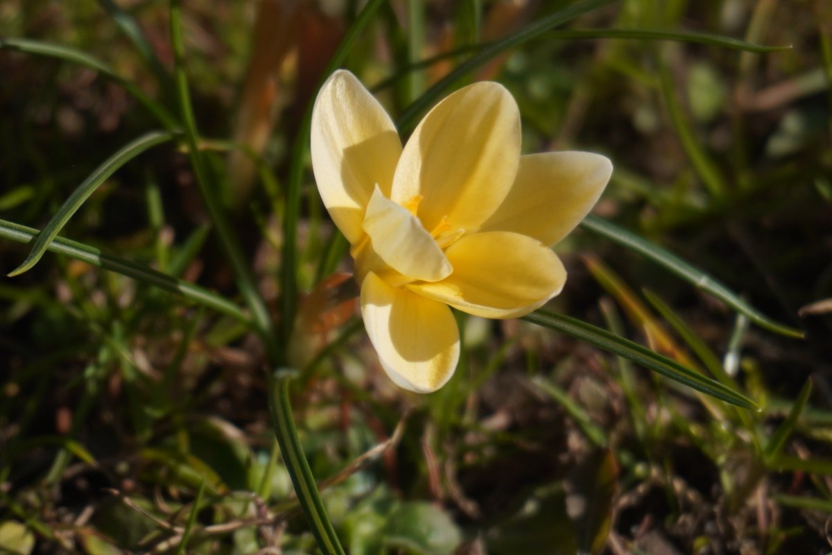 Suzanne | JCOBBB fan tweet media