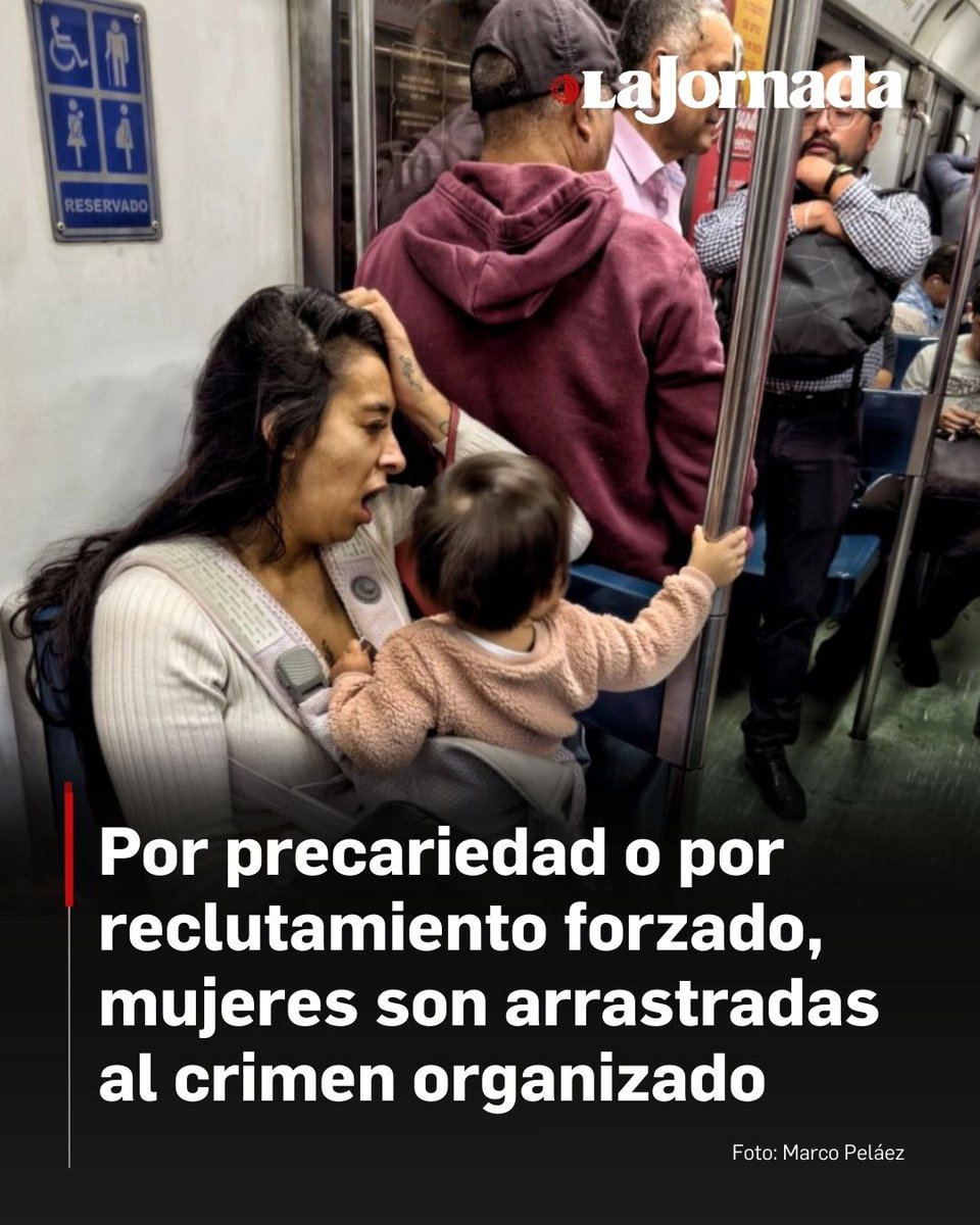 ⚠️ Crimen organizado arrastra cada vez a más mujeres a sus filas: académicas

El fenómeno comenzó hace una década.

Necesidad económica, reclutamiento forzado, lazos familiares o de pareja o violencia crónica, entre los motivos.

Lee más aquí 👇
jornada.com.mx/noticia/2026/0…