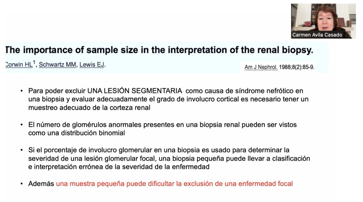 MaFer Zavala tweet media