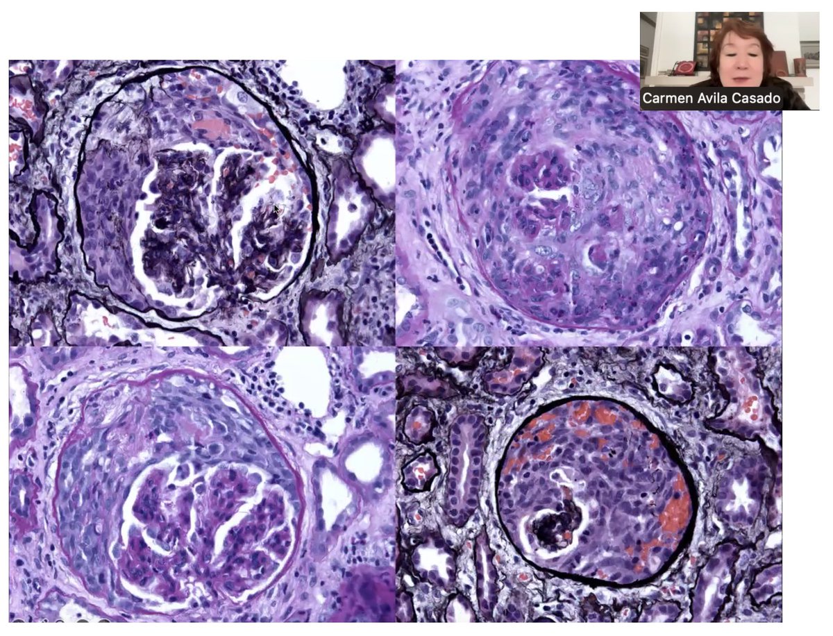 MaFer Zavala tweet media