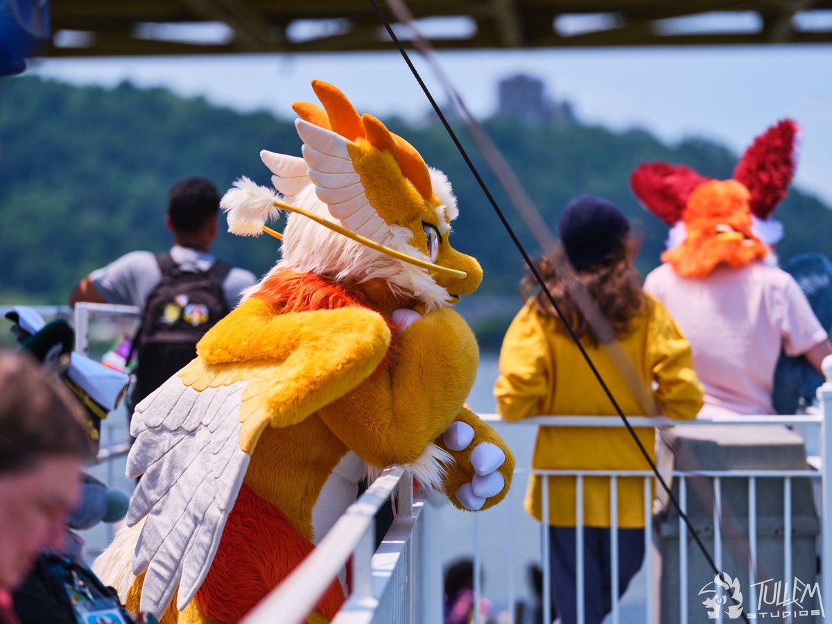 羽落晨曦 tweet media