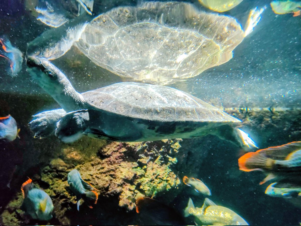 井川 定一 フィランソロピー／ソーシャルイノベーション tweet media