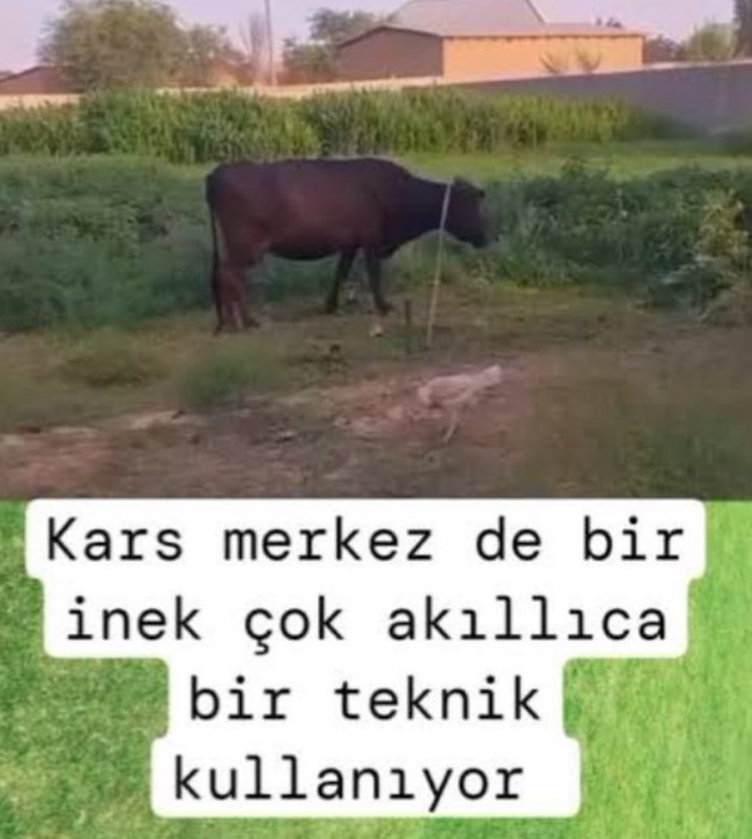 Halit_Ovali's tweet photo. @bpthaber https://t.co/R4fxu2AxHk