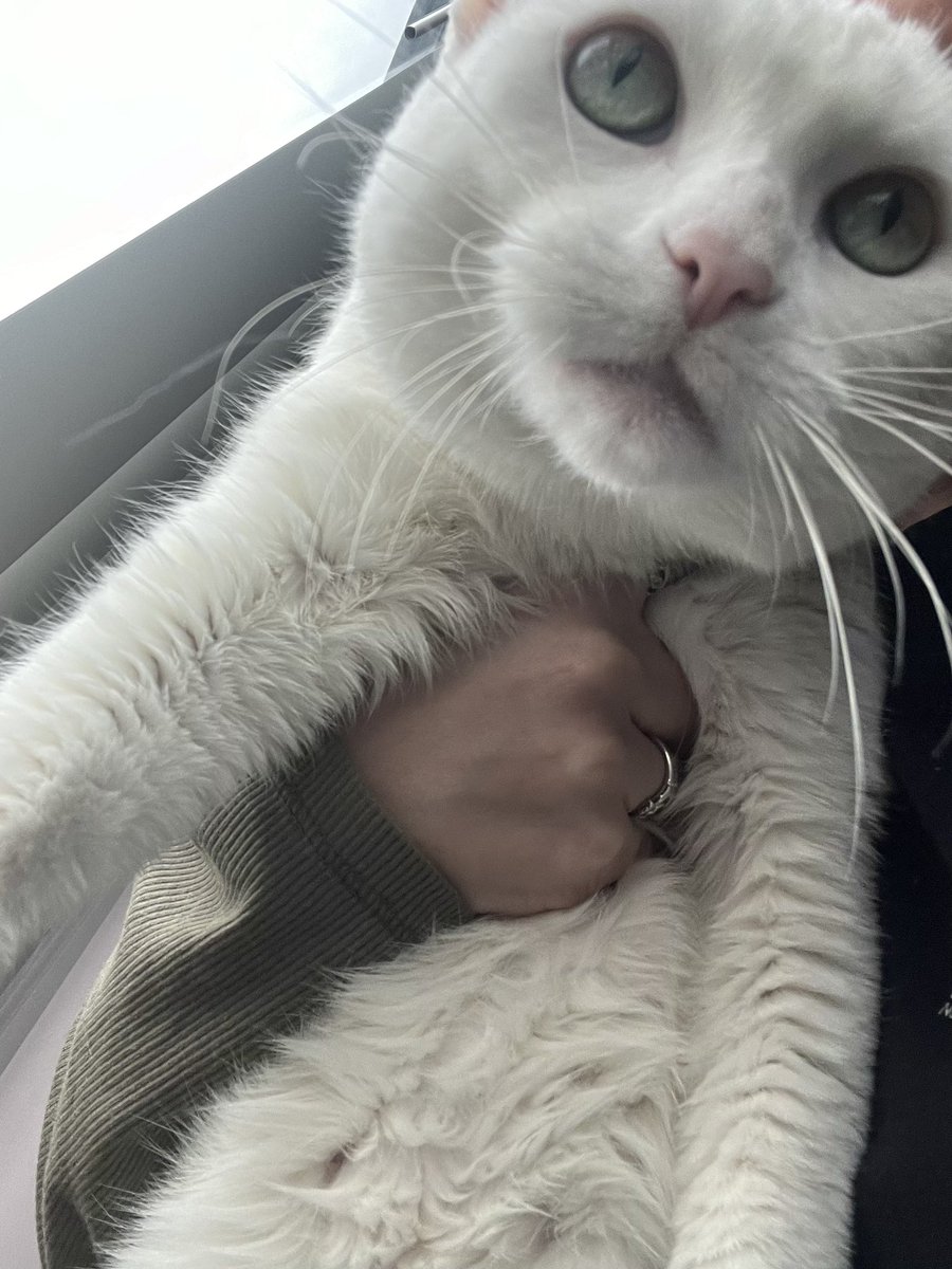 L7🧟‍♀️ tweet media