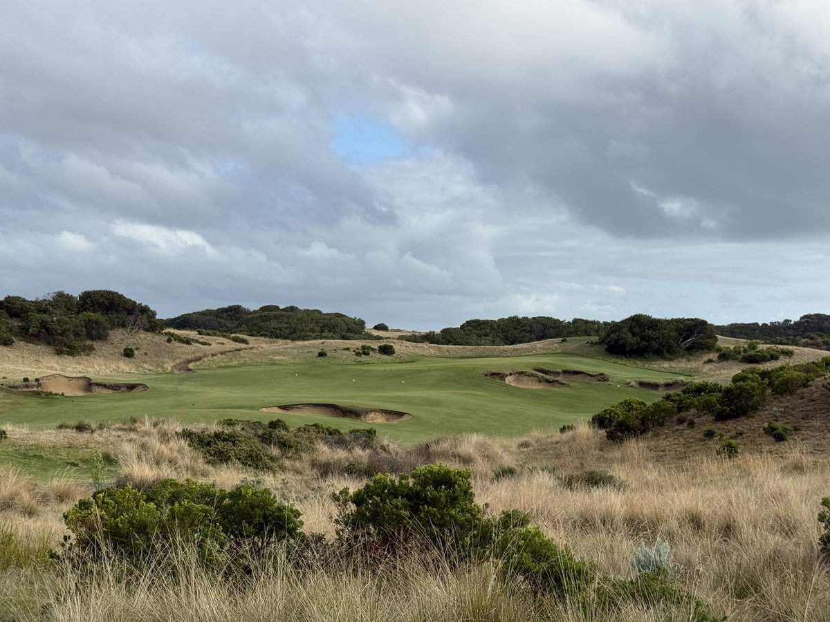 Rick Golfs tweet media