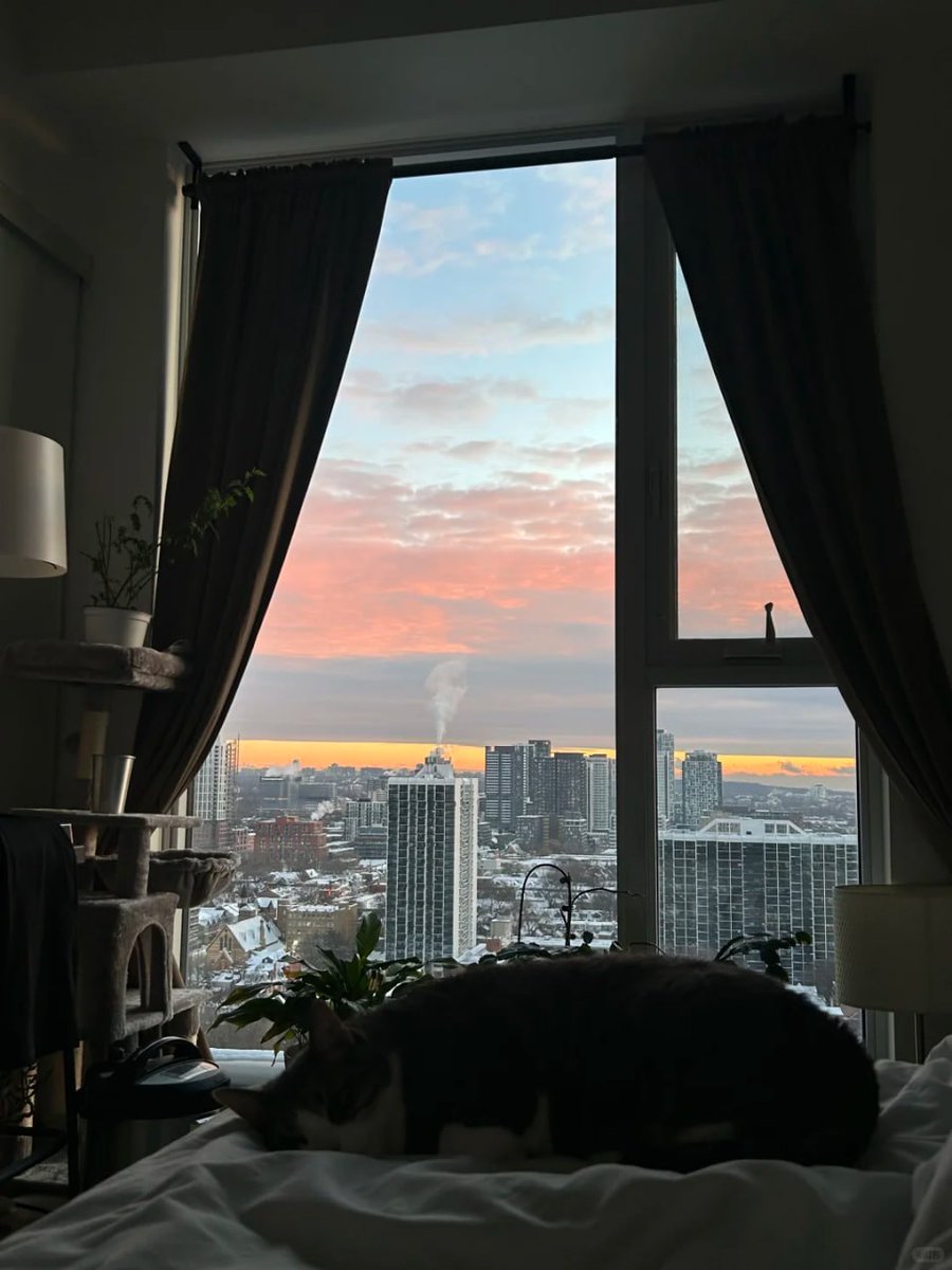 ManfulManda's tweet photo. Snow-dusted nights, cozy home prep tennis gear packed, and golden hour magic with the cat lounging like a king. Grateful for these simple winter moments 🏔️🌅🐱 https://t.co/RMUdYLXyO7