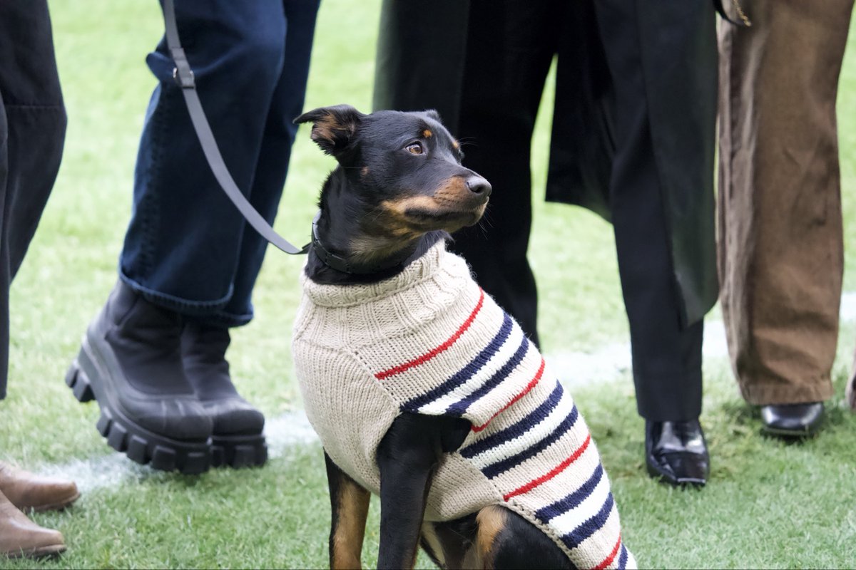 The Women's Game tweet media