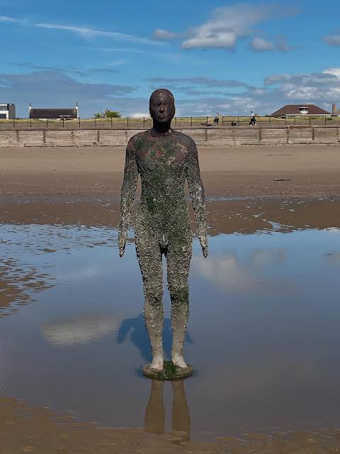 Clara Suess tweet media