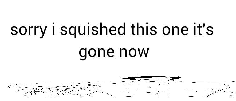 heirborns tweet media