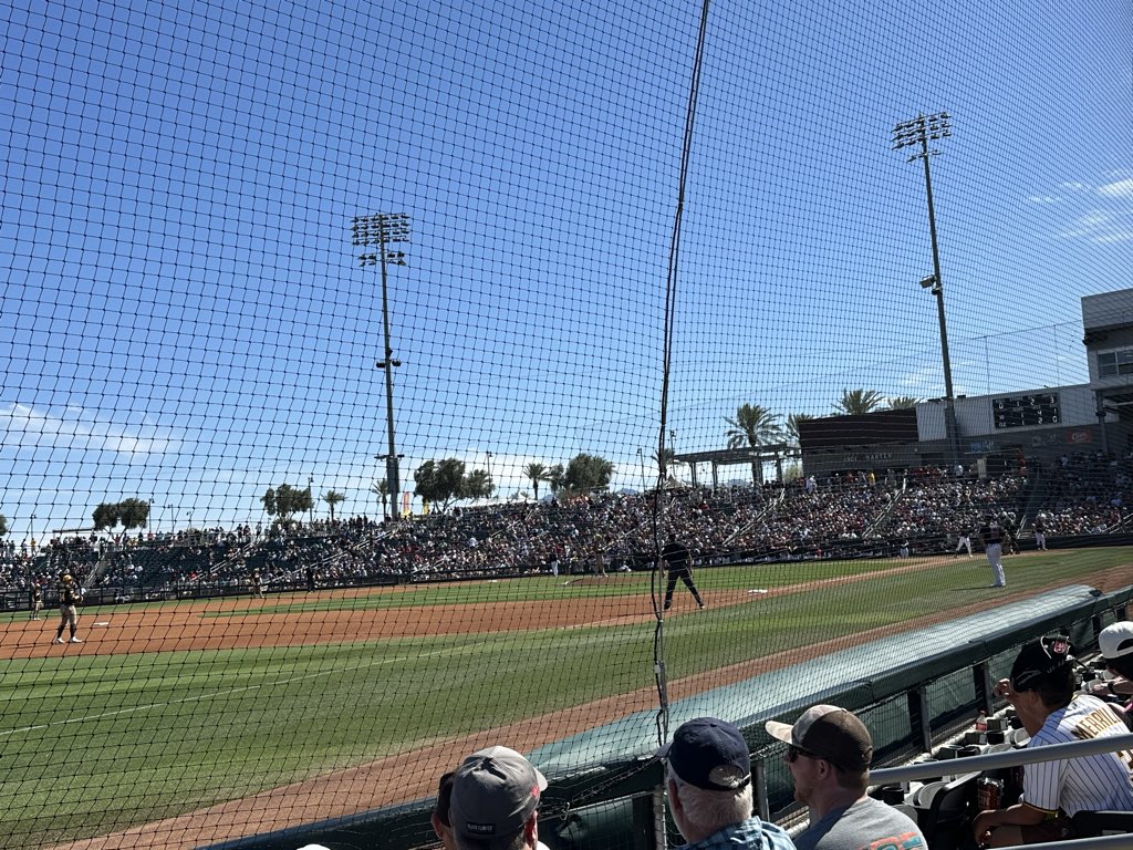 Stephanie Liscio tweet media