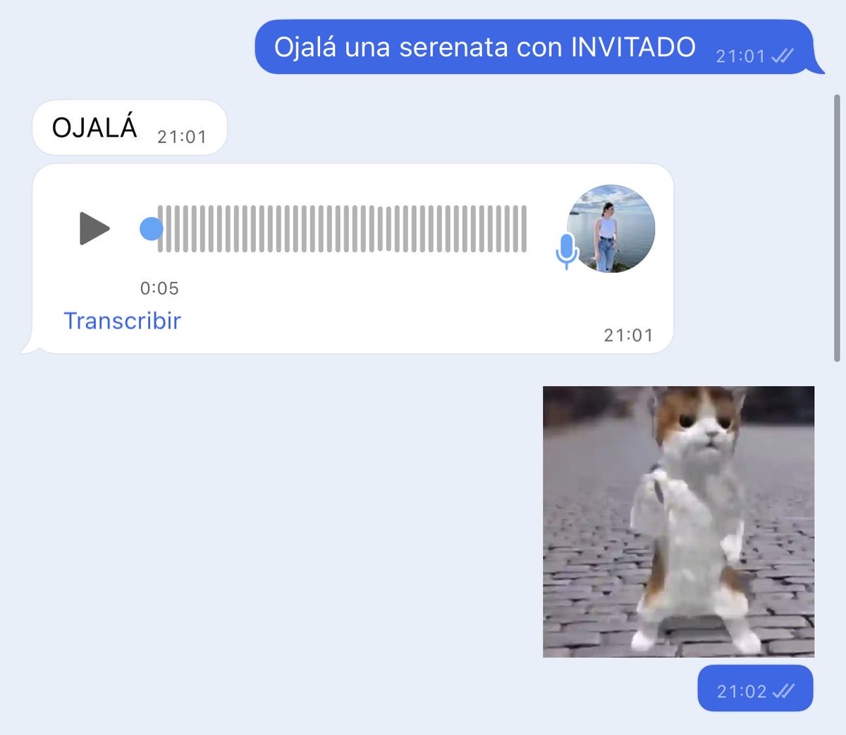 Estela Quevedo tweet media