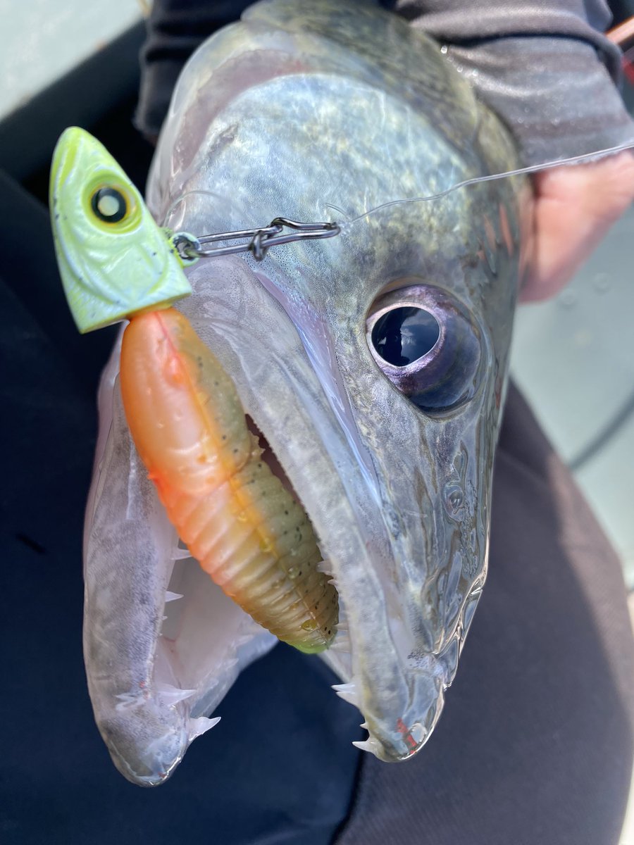 Denis Kreze tweet media