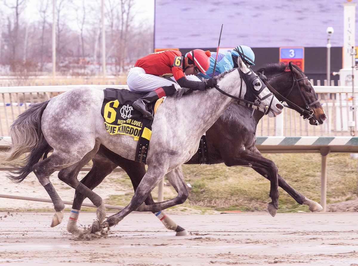 The Maryland Jockey Club, Inc. tweet media