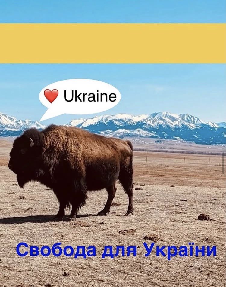 Corby Zone tweet media