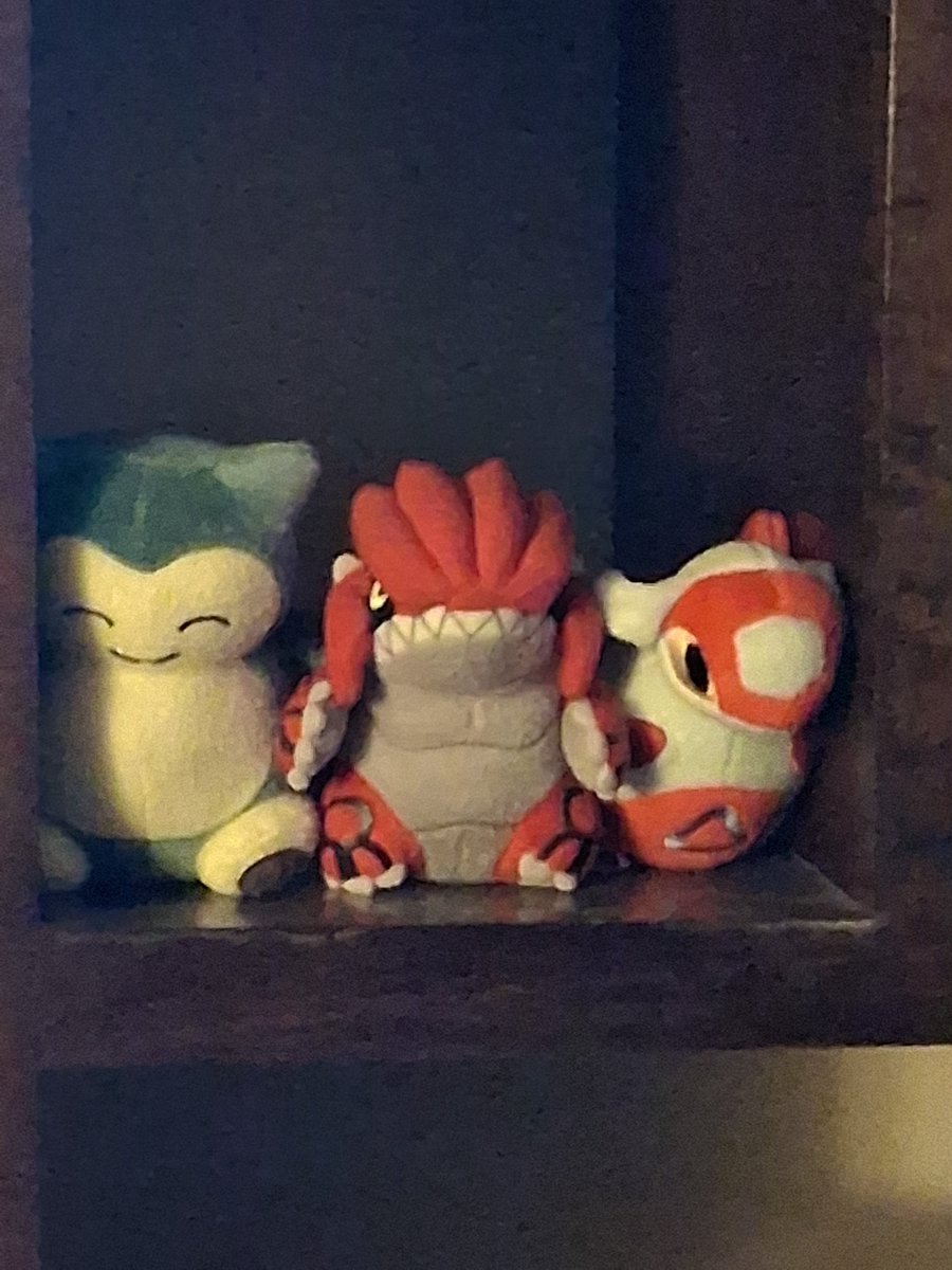 Sinnoh Trainer John tweet media