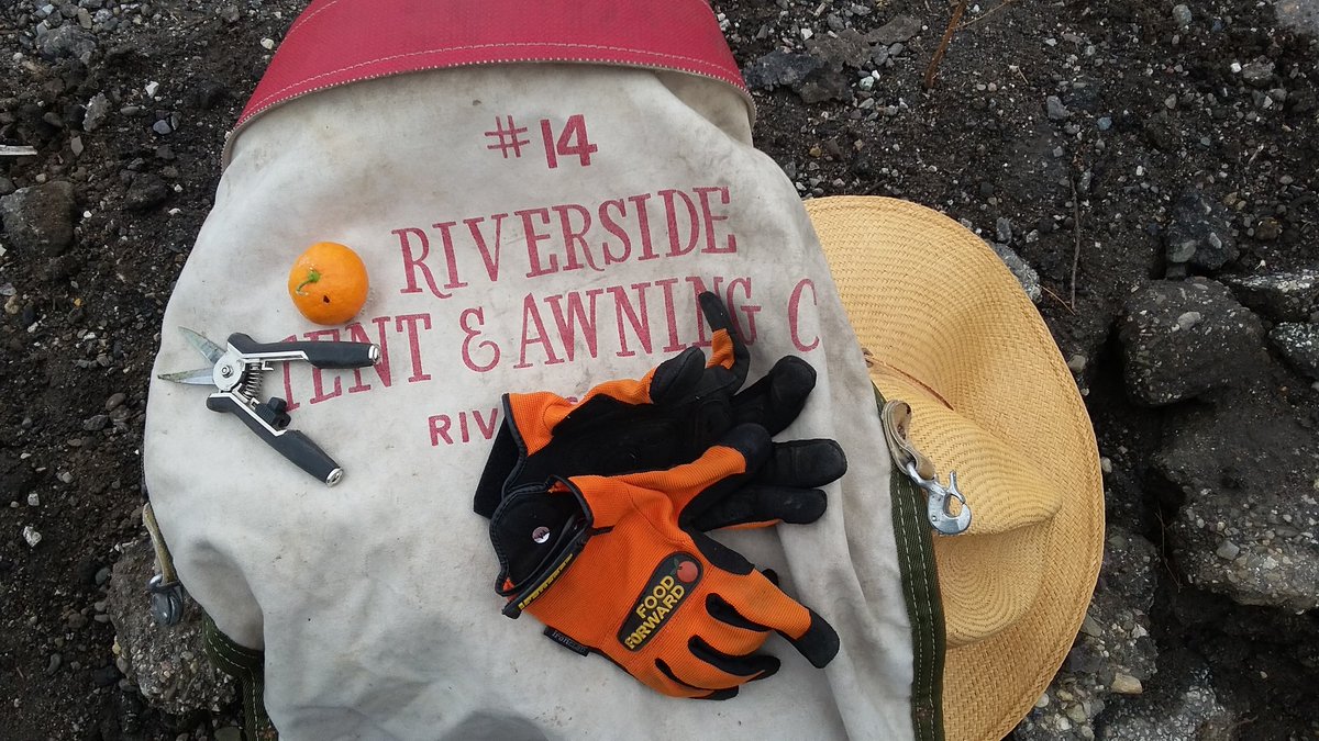 JJ the Santa Barbarian #SlavaUkraini 🥑🥥 tweet media