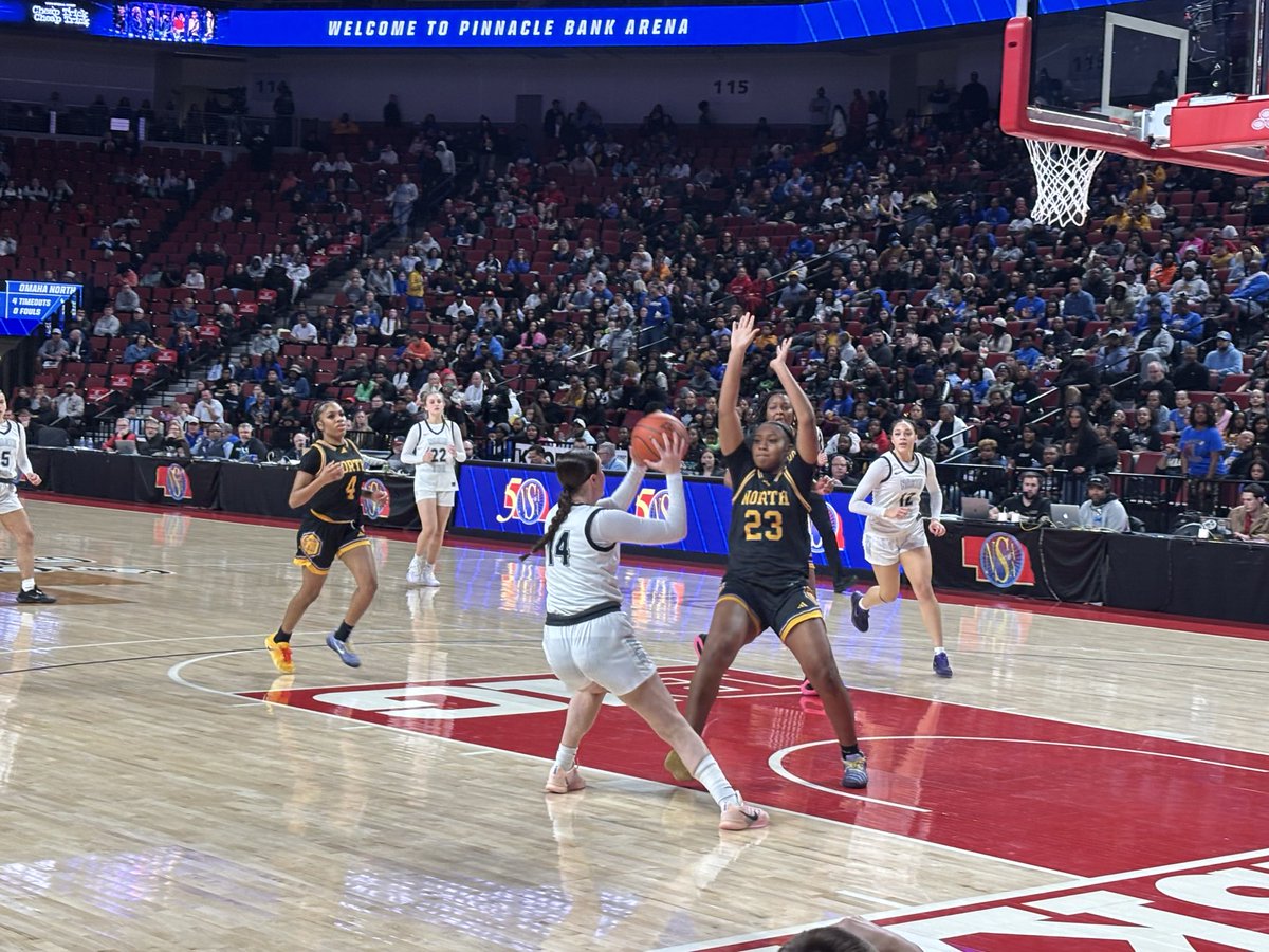 lnsathletics's tweet photo. The lady Gators are state CHAMPIONS! 

🐊🏀🥇 https://t.co/uTT8nHgSSV