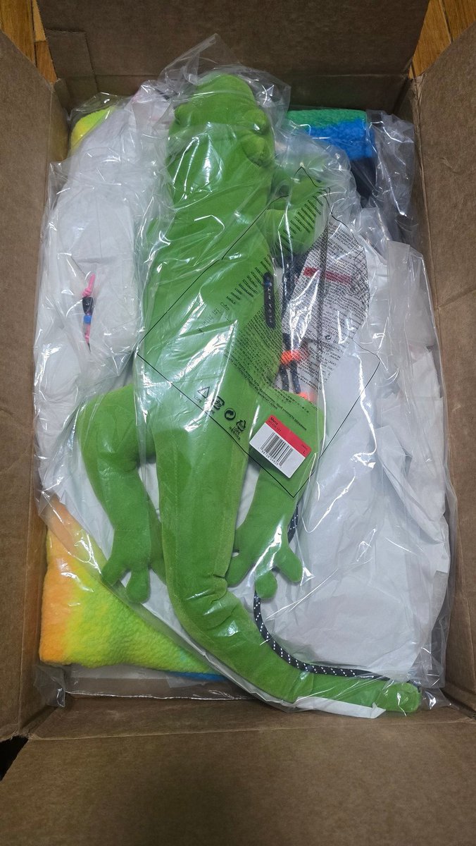 Ovrnundr's tweet photo. CPFM x Nike ACG Anorak (2026) 🦎 https://t.co/pNqHQhkXTQ