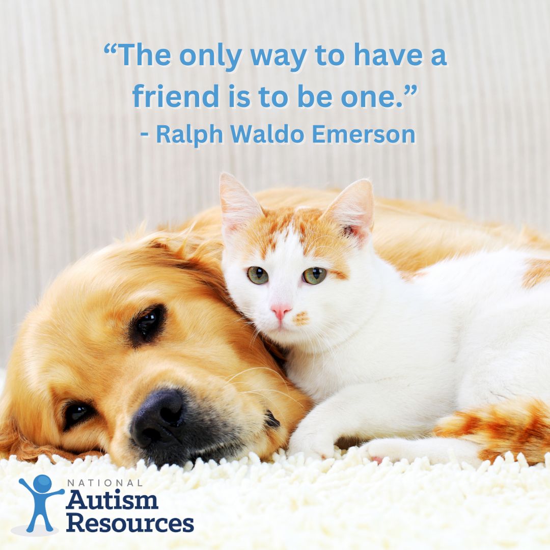 National Autism Resources tweet media