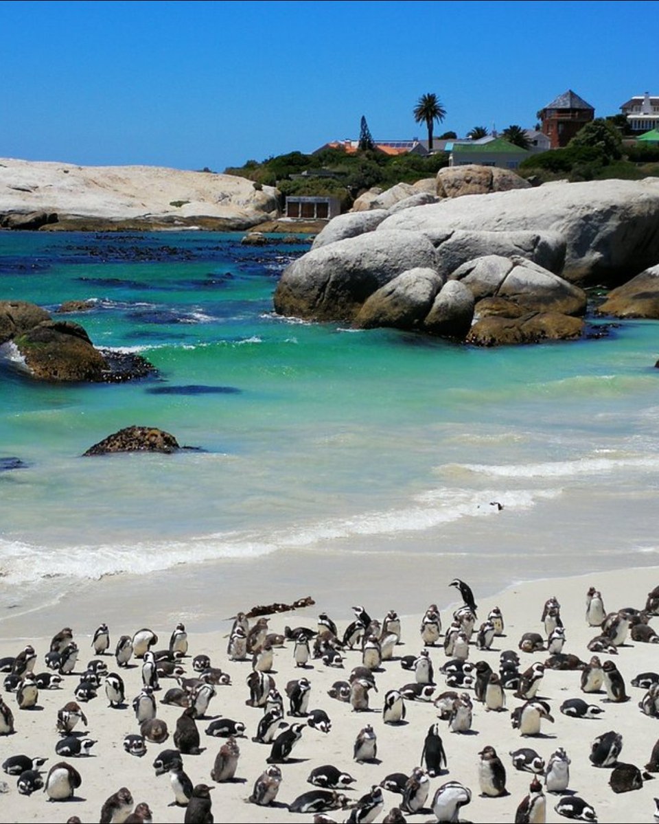 Tripadvisor tweet media